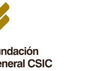 fundacion-csic-smart-cities